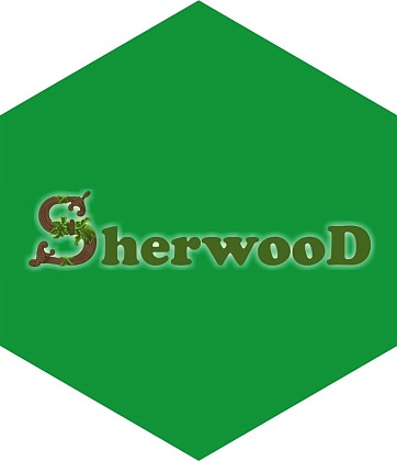 Открытие салона Sherwood