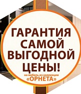 «Гарантия самой выгодной цены!» на серию Орнета