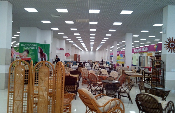 выставка 6
